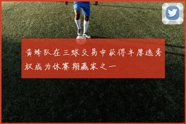 黄蜂队在三球交易中获得丰厚选秀权成为休赛期赢家之一